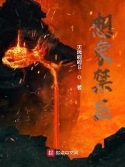 想象禁区封面
