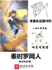 秦时罗网人封面