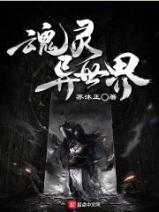 魂灵异世界封面