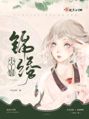 锦绣小丫鬟封面