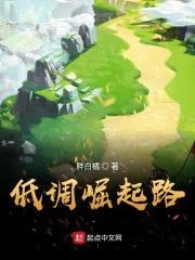 低调崛起路封面