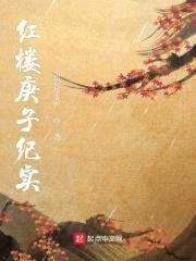 红楼庚子纪实封面