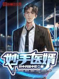 妙手医婿封面