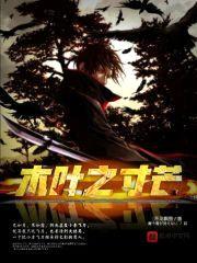 木叶之寸芒封面