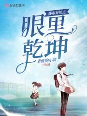 都市异能之眼里乾坤封面