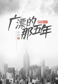 广漂的那五年封面