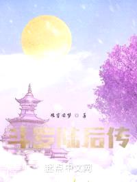 斗罗陆后传封面