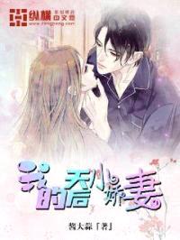 我的天后小娇妻封面