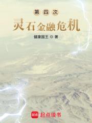 第四次灵石金融危机封面