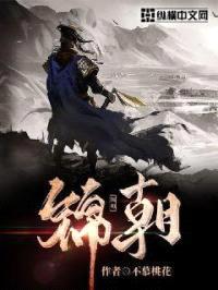 锦朝封面