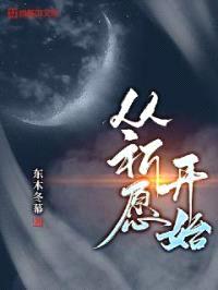 从祈愿开始封面