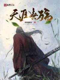 天涯无殇封面