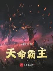 天命霸主封面