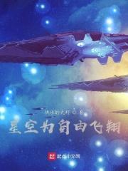 星空为自由飞翔封面