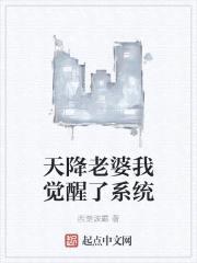 天降老婆我觉醒了系统封面