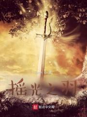 摇光之羽封面
