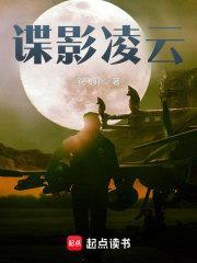 谍影凌云封面