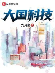 模拟：大国科技封面