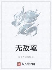 无敌境封面
