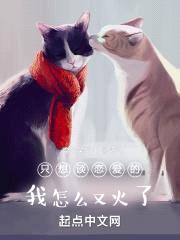 非正常文娱封面