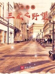 三藏之野望封面