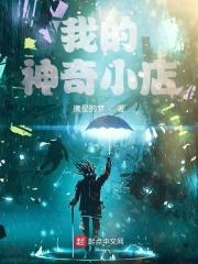 我的神奇小店封面
