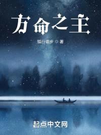 方命之主封面