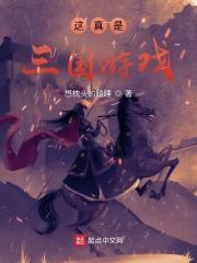 这真是三国游戏封面