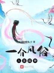 一介凡俗入圣超神封面