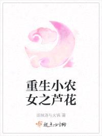 重生小农女之芦花封面