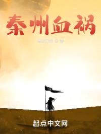 秦州血祸封面