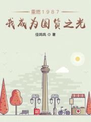 重燃1987：我成为国货之光封面