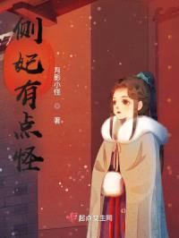 侧妃有点怪封面