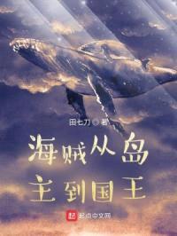 海贼从岛主到国王封面