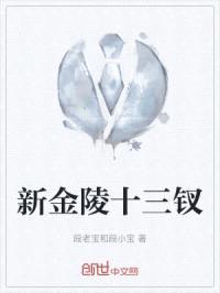 新金陵十三钗封面