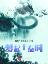 梦起于秦时封面