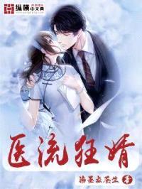 医流狂婿封面