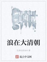 浪在大清朝封面