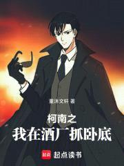 柯南之我在酒厂抓卧底封面