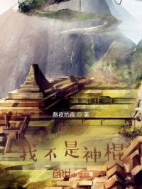 原神：我不是神棍封面