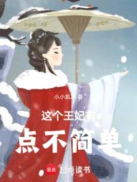 这个王妃有点不简单封面