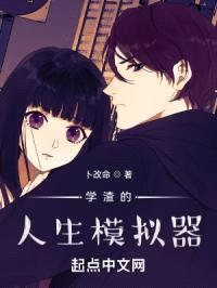 学渣的人生模拟器封面