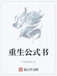 重生公式书封面
