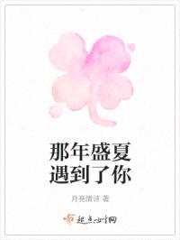 那年盛夏遇到了你封面