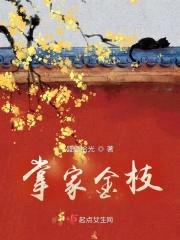 掌家金枝封面