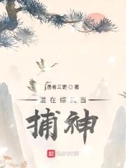 混在综武当捕神封面