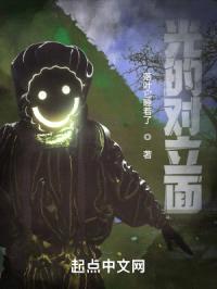 光的对立面封面