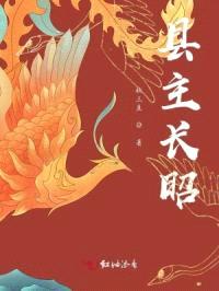 县主长昭封面