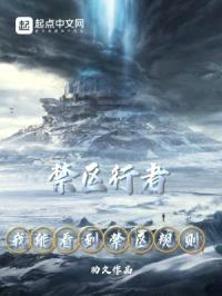 我能看到禁区规则封面