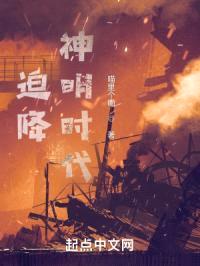 迫降神明时代封面